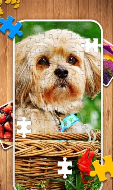 经典拼图完整版下载-经典拼图最新版下载v1.0.0