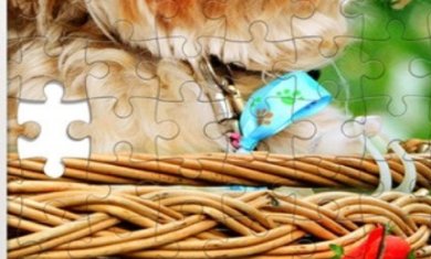 经典拼图完整版下载-经典拼图最新版下载v1.0.0