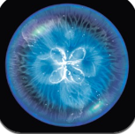 星噬中文版安卓完整版2023