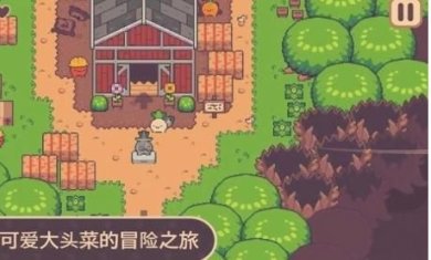 大头菜历险记正版下载-大头菜历险记最新版下载v1.1.9