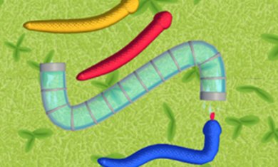 缠绕之蛇安卓版下载-缠绕之蛇完整版下载v12.2.1