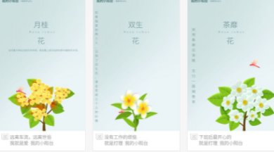 我的小阳台安卓版下载-我的小阳台游戏下载v1.0