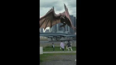 怪物猎人Now即刻出发港服手机版