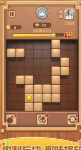俄罗斯方块大招版官方下载-俄罗斯方块大招版安卓版下载v1.0