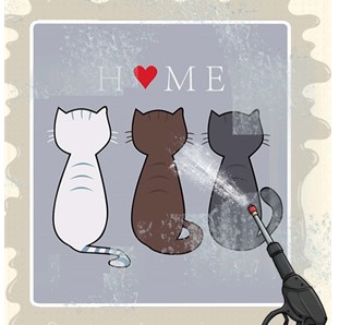 沉浸式清洗收纳下载-沉浸式清洗收纳安卓版下载v1.0