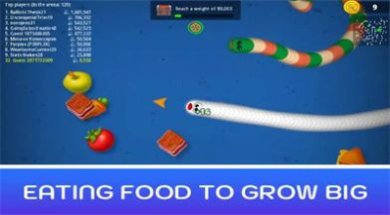 24091127a7682qTPC3omn8fm3p5