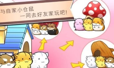 仓鼠的日常下载-仓鼠的日常安卓版下载v4.2.9