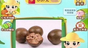 猜水果乐园下载手机版-猜水果乐园最新版本下载v3.7.4