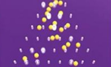 迈向胜利手机版下载-迈向胜利安卓版下载v2.0