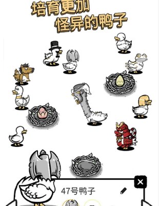 奇怪孵鸭子游戏下载-奇怪孵鸭子手机版下载v1.0