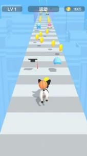 装扮宠物跑酷最新版下载-装扮宠物跑酷安卓免费版下载v1.0