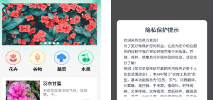 百草万象园下载官方正版-百草万象园下载安装最新版本v1.0.0