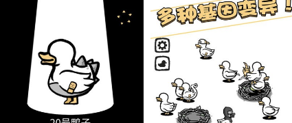 奇怪孵鸭子下载手机版下载-奇怪孵鸭子游戏下载v1.0