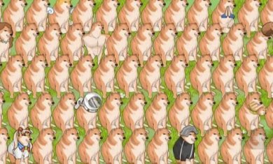 老六来找不同游戏下载-老六来找不同安卓版下载v1.0