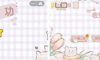 收纳整理小当家手机版下载-收纳整理小当家最新版下载v1.0