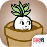 一个萝卜一个盆官网