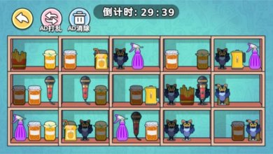 专业收纳员游戏下载-专业收纳员手机版下载v1.0