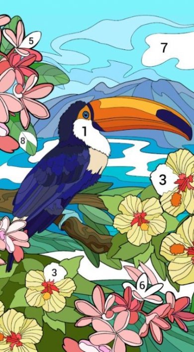 按编号上色的涂鸦书手机版下载-按编号上色的涂鸦书下载最新版v2.13.5