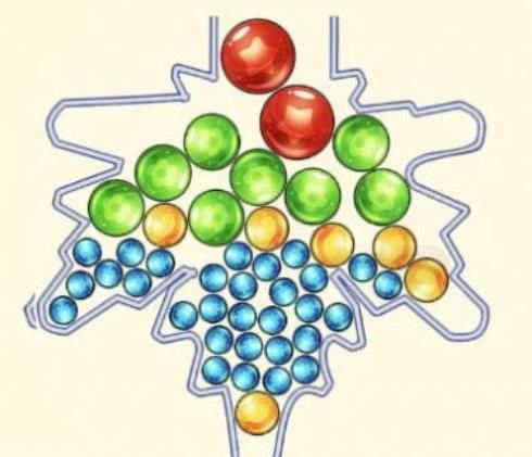 脑洞的力量游戏下载-脑洞的力量官方正版下载v1.0.8
