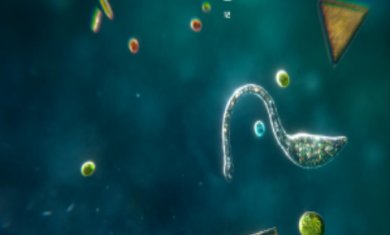 孢子进化模拟器手机版下载-孢子进化模拟器中文版下载v1.0.0