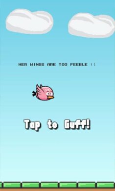 博蒂鸟正版官网版2023下载-博蒂鸟手机版下载v1.1.0.3