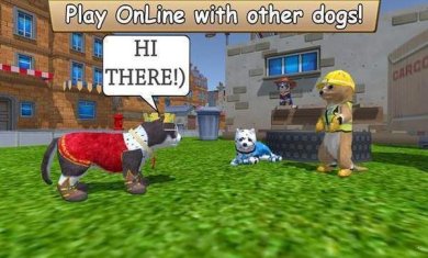 美国Zoom动物游戏手机版下载-美国Zoom动物官网最新版免费下载v1.0.0.5