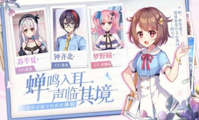 不存在的谎言手游下载-不存在的谎言最新(附攻略)下载v1.0