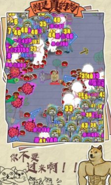 菜狗行不行游戏下载-菜狗行不行下载最新版v1.0