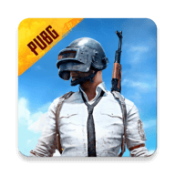 pubg贾神国际体验服直装最新版