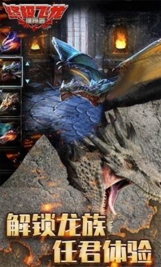 终极飞龙模拟器内置修改器下载-终极飞龙模拟器无限金币版无限经验下载v1.0.1