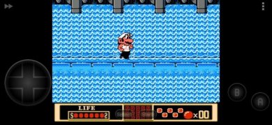 功夫玛丽金手指下载-功夫玛丽无敌版(附作弊码)下载v2022.03.30.14