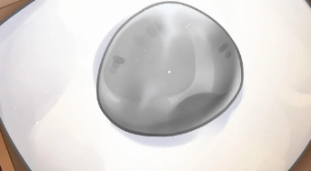 宠物石头游戏下载-宠物石头最新版下载v1.0