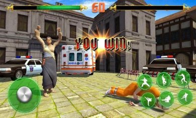 终极功夫之战手游下载-终极功夫之战最新官方版下载v1.1