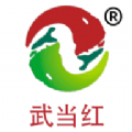 武当红app