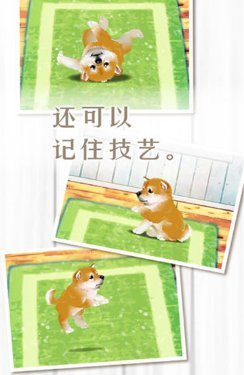 搜狗高速浏览器截图20231101153640