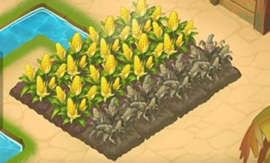 搜狗截图23年11月15日1657_4