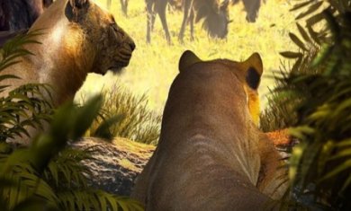 搜狗高速浏览器截图20231116092512