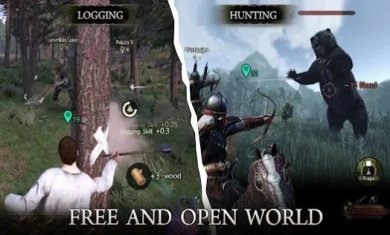 骑士的遗产游戏下载-骑士的遗产最新中文版下载v1.1