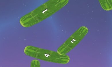 猫咪拍黄瓜游戏下载-猫咪拍黄瓜安卓版下载v2.3