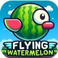 飞西瓜手机版