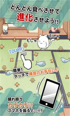 这是猫咪吗下载-这是猫咪吗正版下载v1.0.5