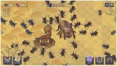 蚁群野生森林中文版