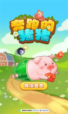 奔跑的猪猪下载-奔跑的猪猪安卓版下载v1.0.1