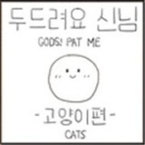 上帝保佑你小猫安卓版