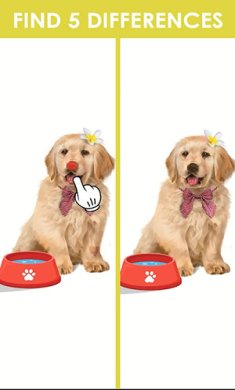 找出图画的差异下载安装-找出图画的差异最新版下载v2.5.1