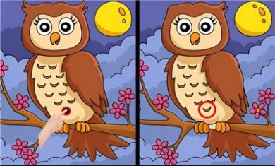 差异寻找并发现游戏下载-差异寻找并发现最新版下载v1.0.0