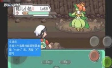 897d5bee-c480-46f7-9eea-1b1e806f636a