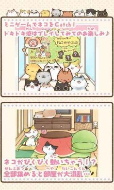 滑动猫咪美喵之时游戏下载-滑动猫咪美喵之时下载v1.12