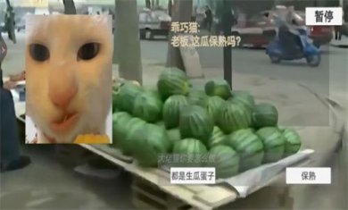 猫猫惊魂夜游戏下载-猫猫惊魂夜恐怖版下载v1.0