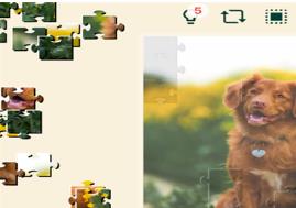 宠物狗狗的拼图挑战下载-宠物狗狗的拼图挑战最新版下载v0.7.1